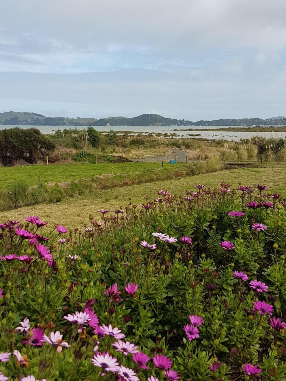 Hotel The Little Farm Coromandel Exterior foto