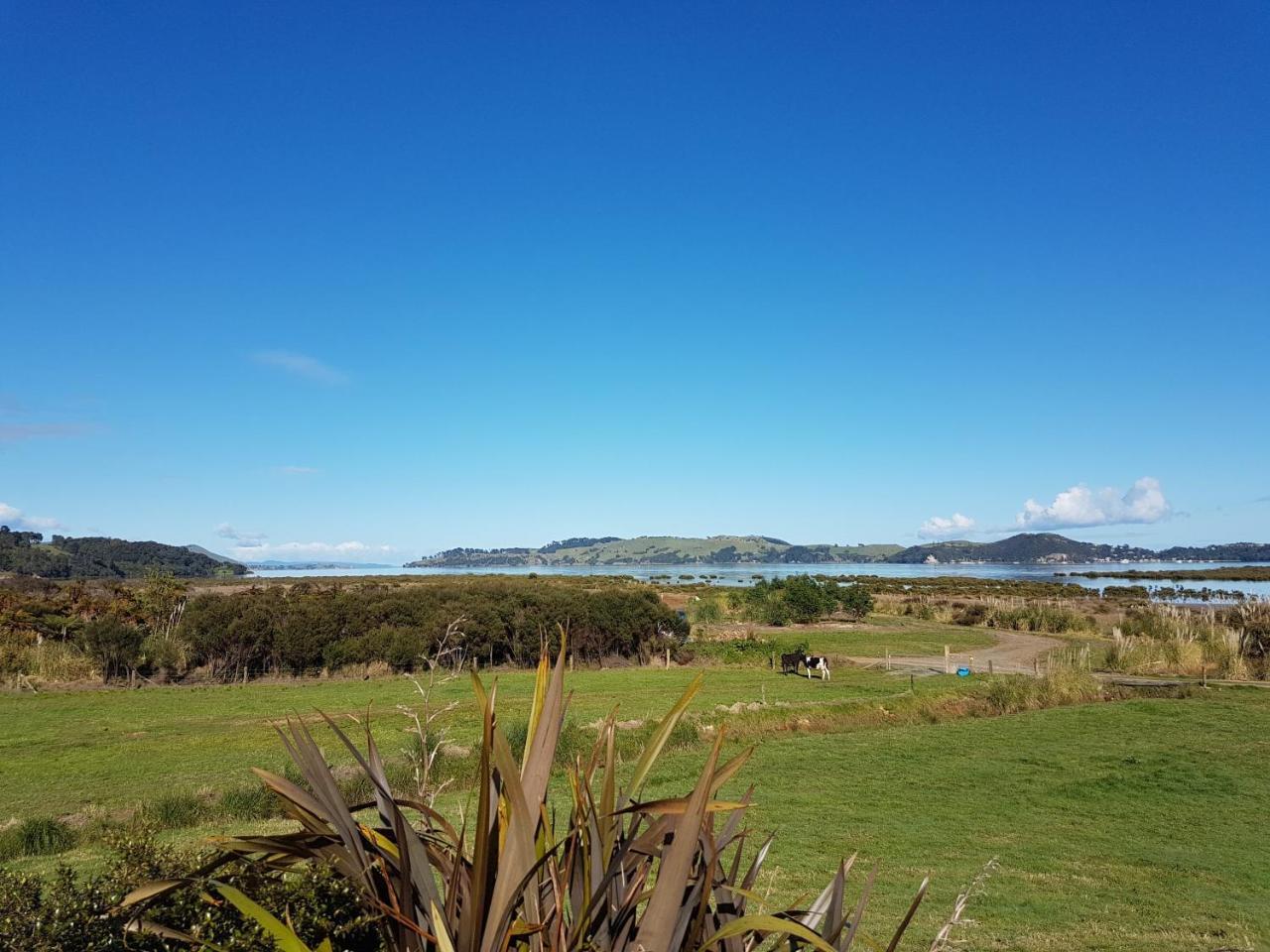 Hotel The Little Farm Coromandel Exterior foto